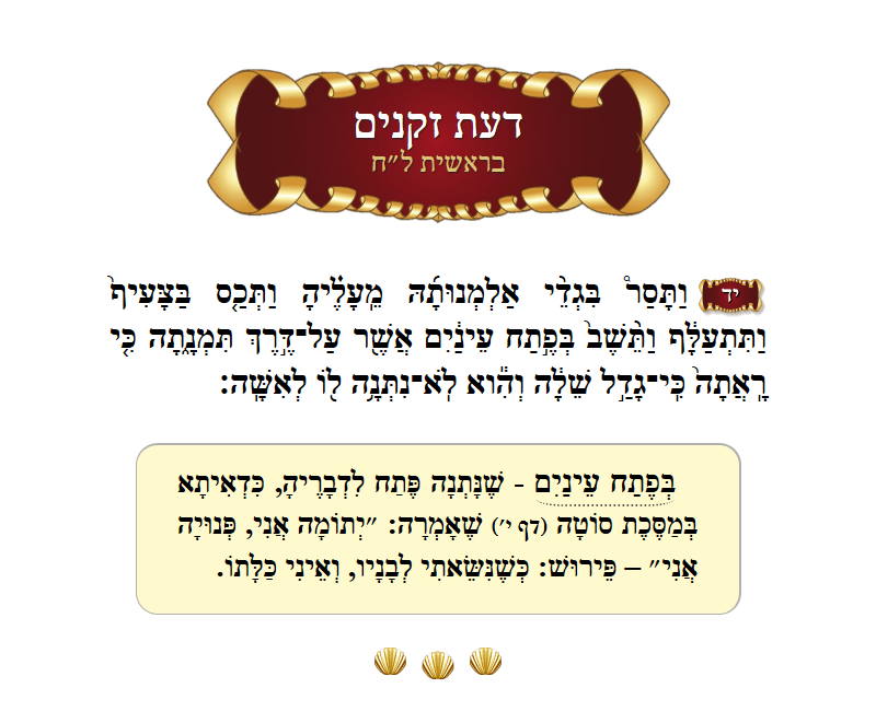 Daas Zekeinim Bereishis Chapter 38 Verse 14