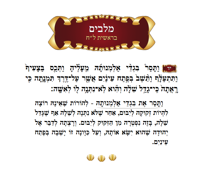 מלבים בראשית פרק ל״ח פסוק י״ד