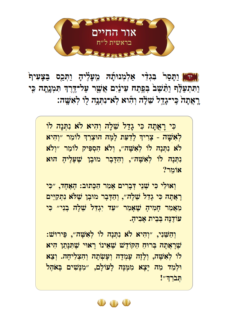 אור החיים בראשית פרק ל״ח פסוק י״ד