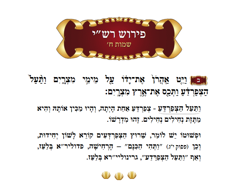 רש״י שמות פרק ח׳ פסוק ב׳