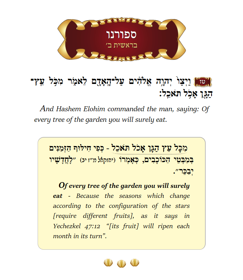 Seforno Bereishis Chapter 2 Verse 16