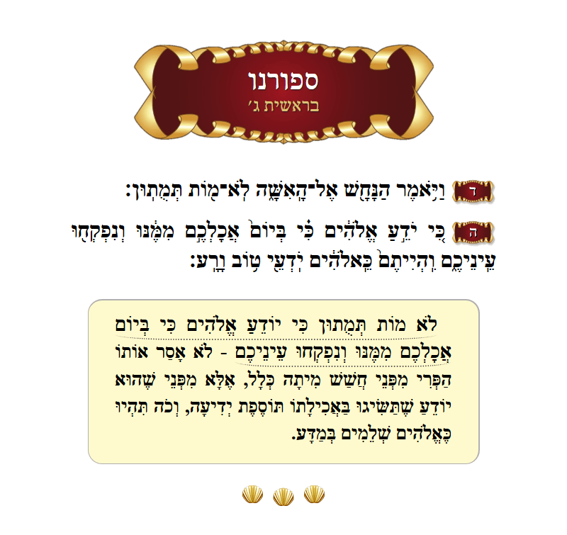 ספורנו בראשית פרק ג׳ פסוק ד׳