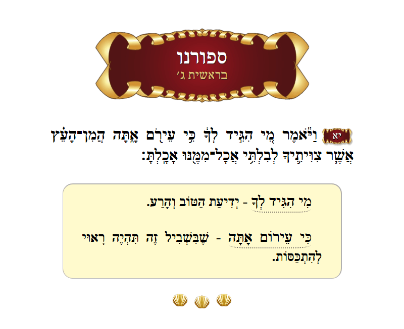 ספורנו בראשית פרק ג׳ פסוק י״א