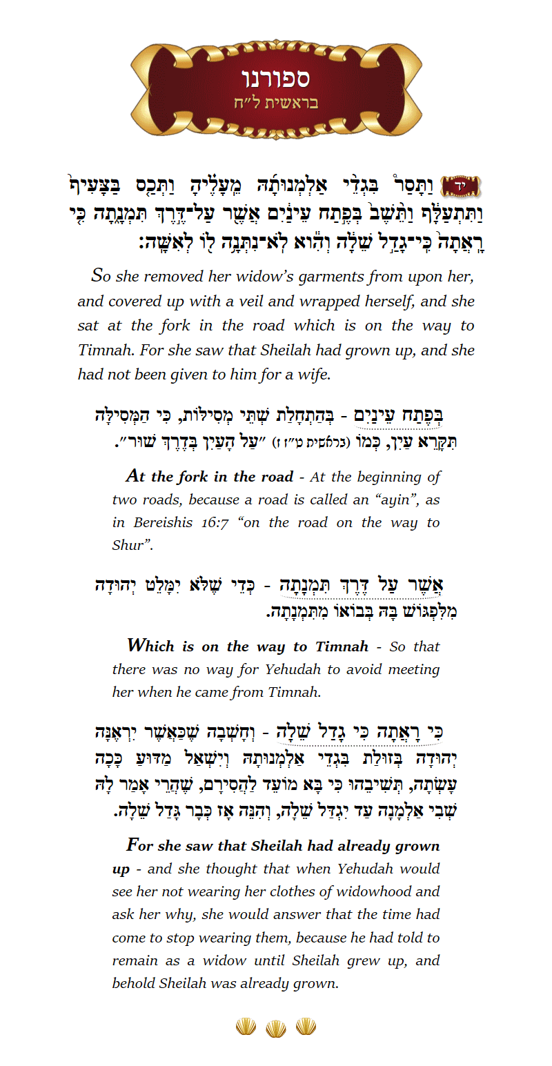 Seforno Bereishis Chapter 38 Verse 14