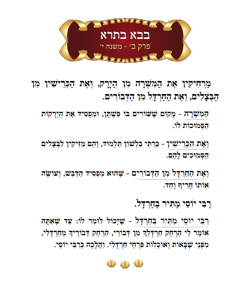 Masechta Bava Basra Chapter 2 Mishnah 10 with commentary