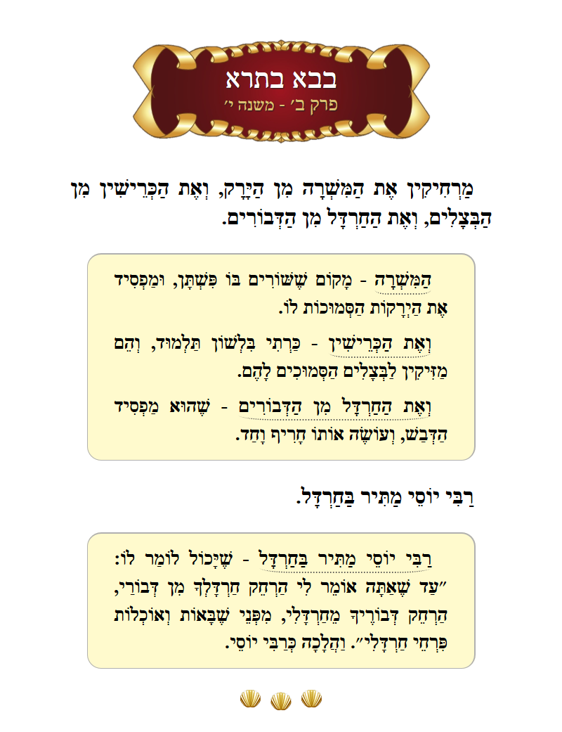 Masechta Bava Basra Chapter 2 Mishnah 10 with commentary