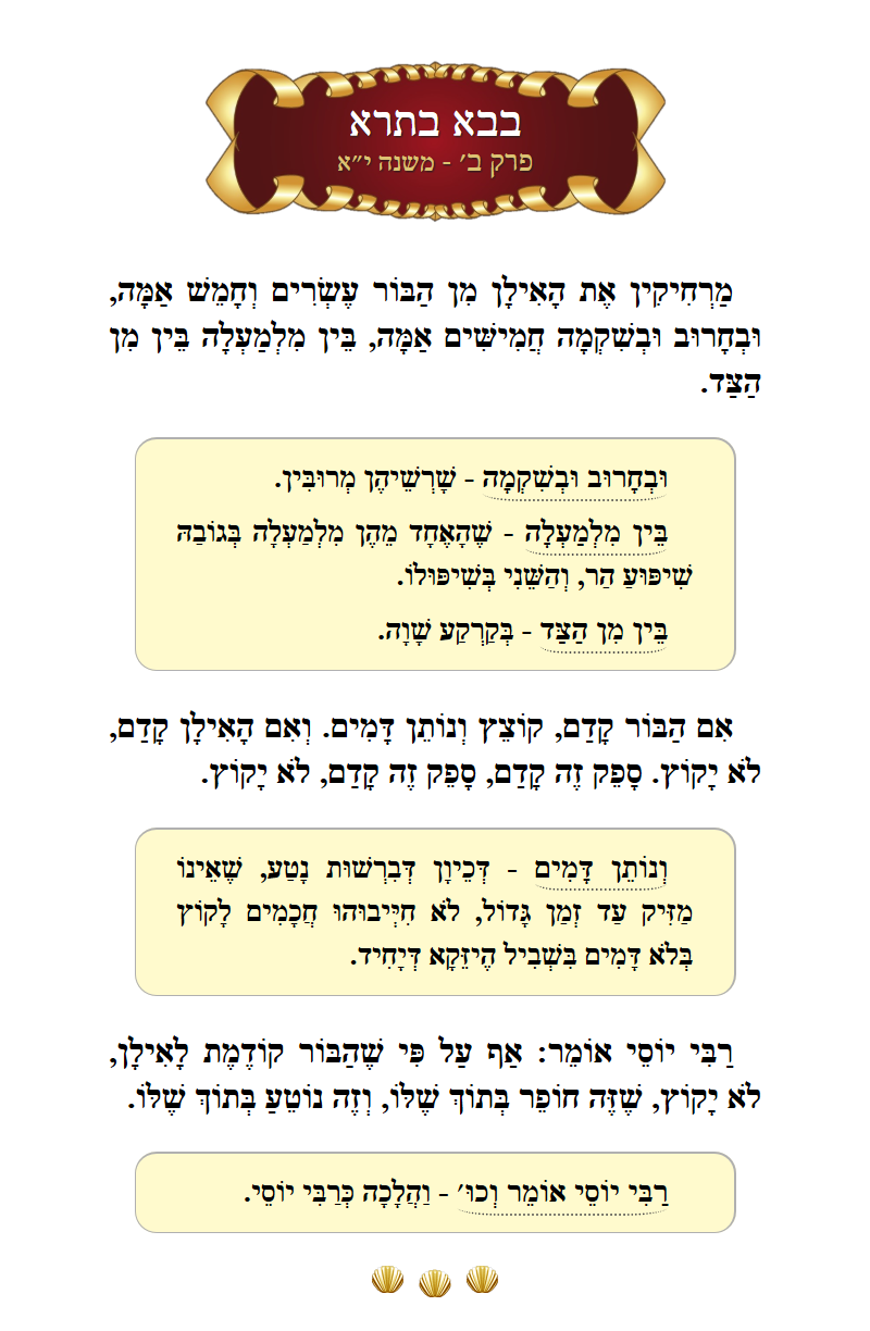 Masechta Bava Basra Chapter 2 Mishnah 11 with commentary
