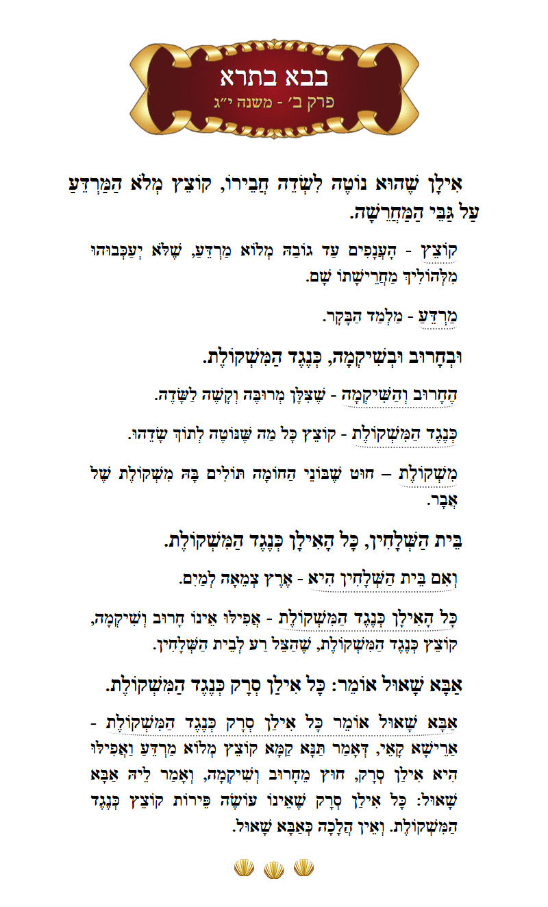Masechta Bava Basra Chapter 2 Mishnah 13 with commentary