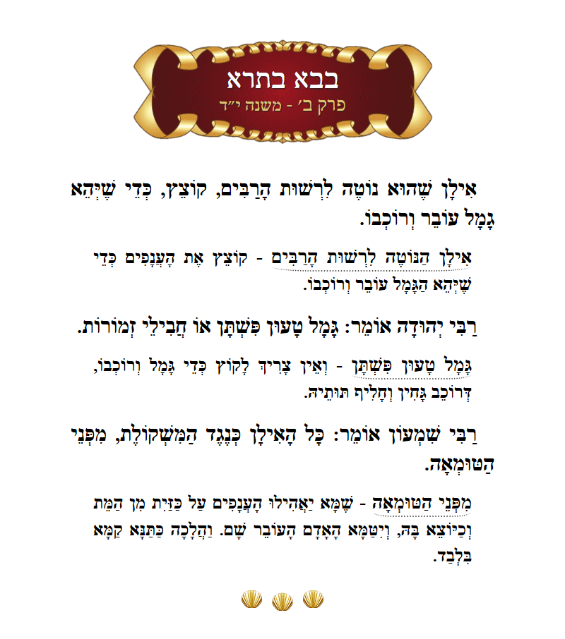Masechta Bava Basra Chapter 2 Mishnah 14 with commentary