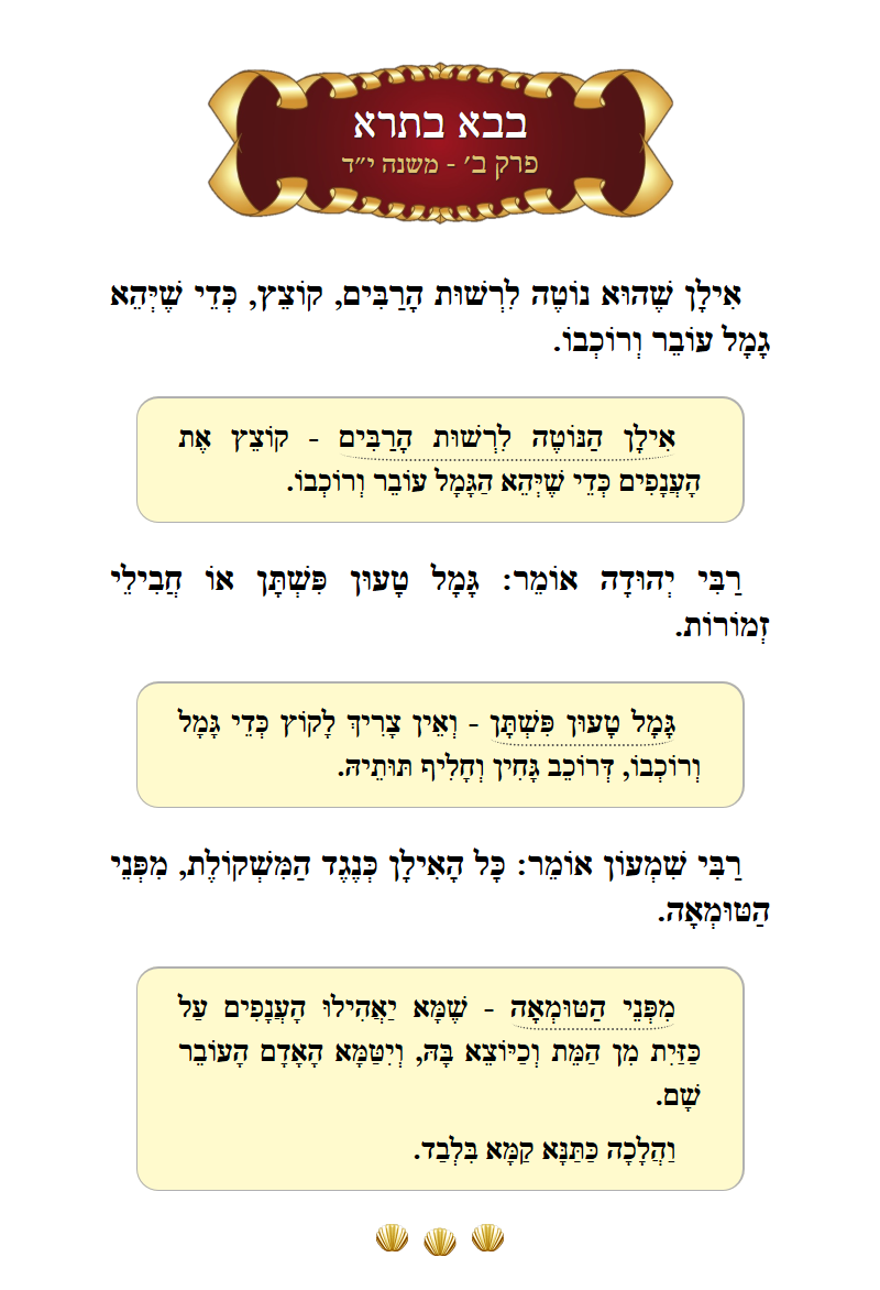 Masechta Bava Basra Chapter 2 Mishnah 14 with commentary
