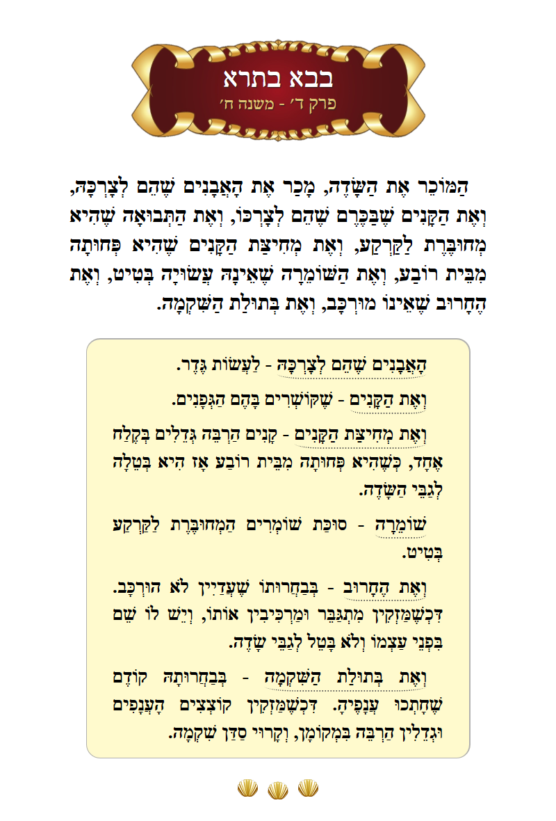 Masechta Bava Basra Chapter 4 Mishnah 8 with commentary