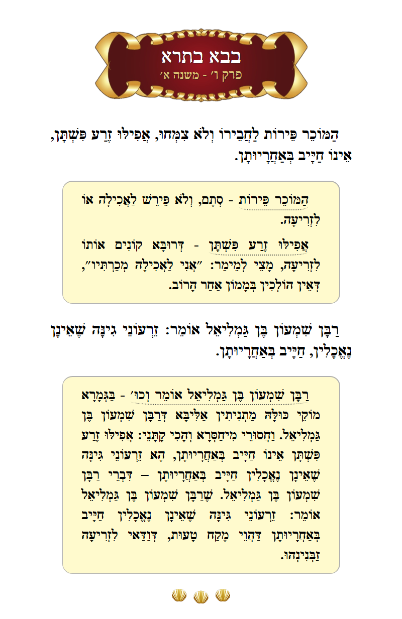 Masechta Bava Basra Chapter 6 Mishnah 1 with commentary