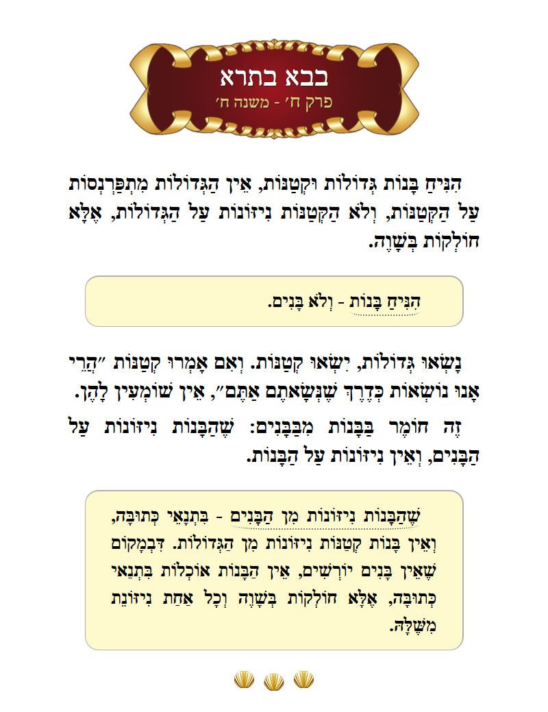 Masechta Bava Basra Chapter 8 Mishnah 8 with commentary