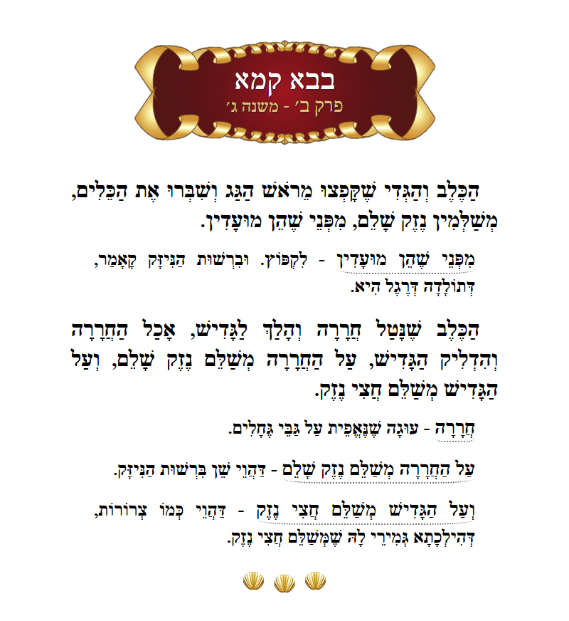 Masechta Bava Kamma Chapter 2 Mishnah 3 with commentary