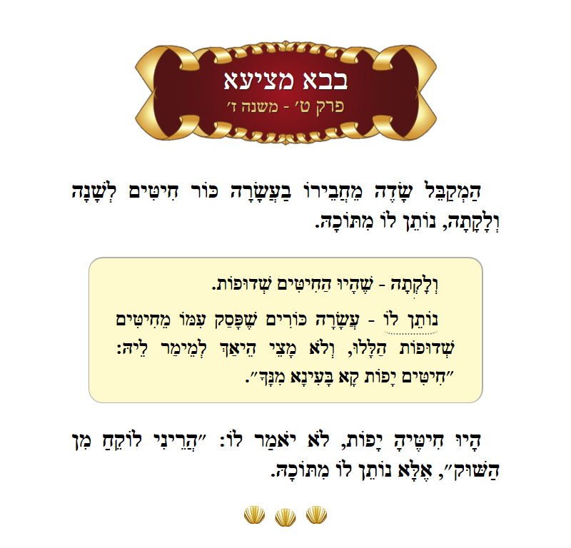 Masechta Bava Metzia Chapter 9 Mishnah 7 with commentary