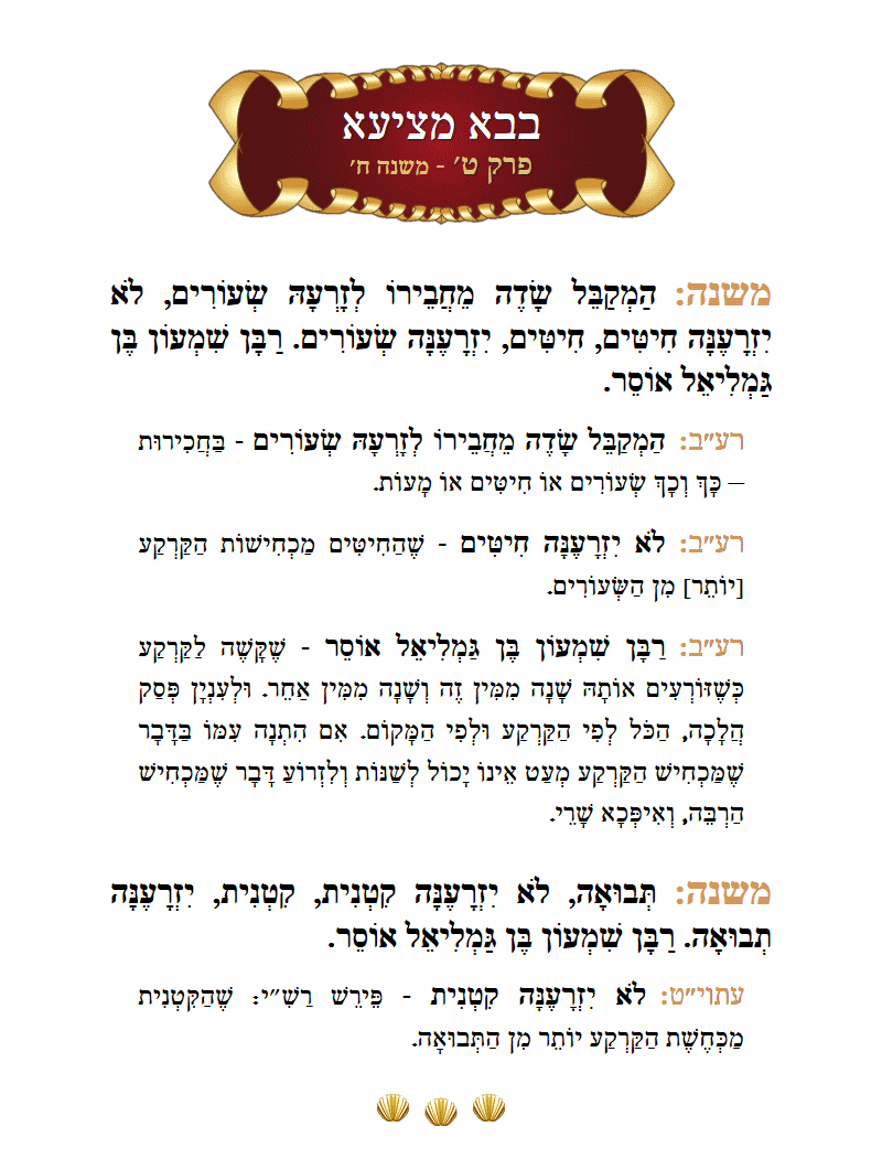 Masechta Bava Metzia Chapter 9 Mishnah 8 with commentary
