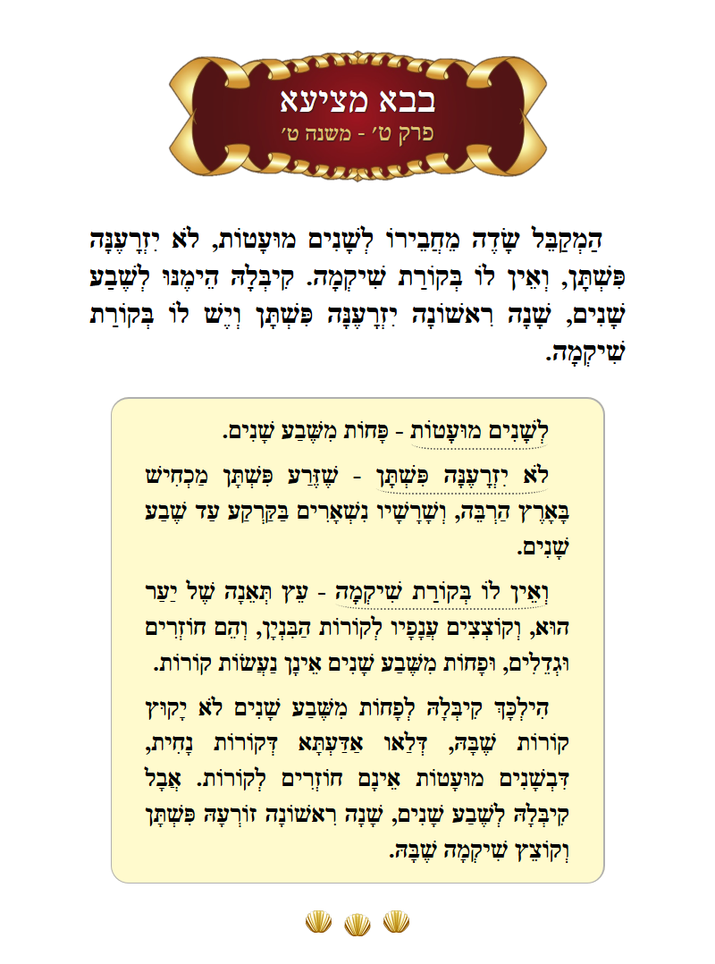 Masechta Bava Metzia Chapter 9 Mishnah 9 with commentary