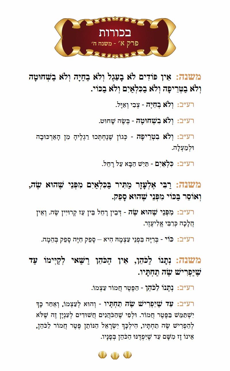 Masechta Bechoros Chapter 1 Mishnah 5 with commentary