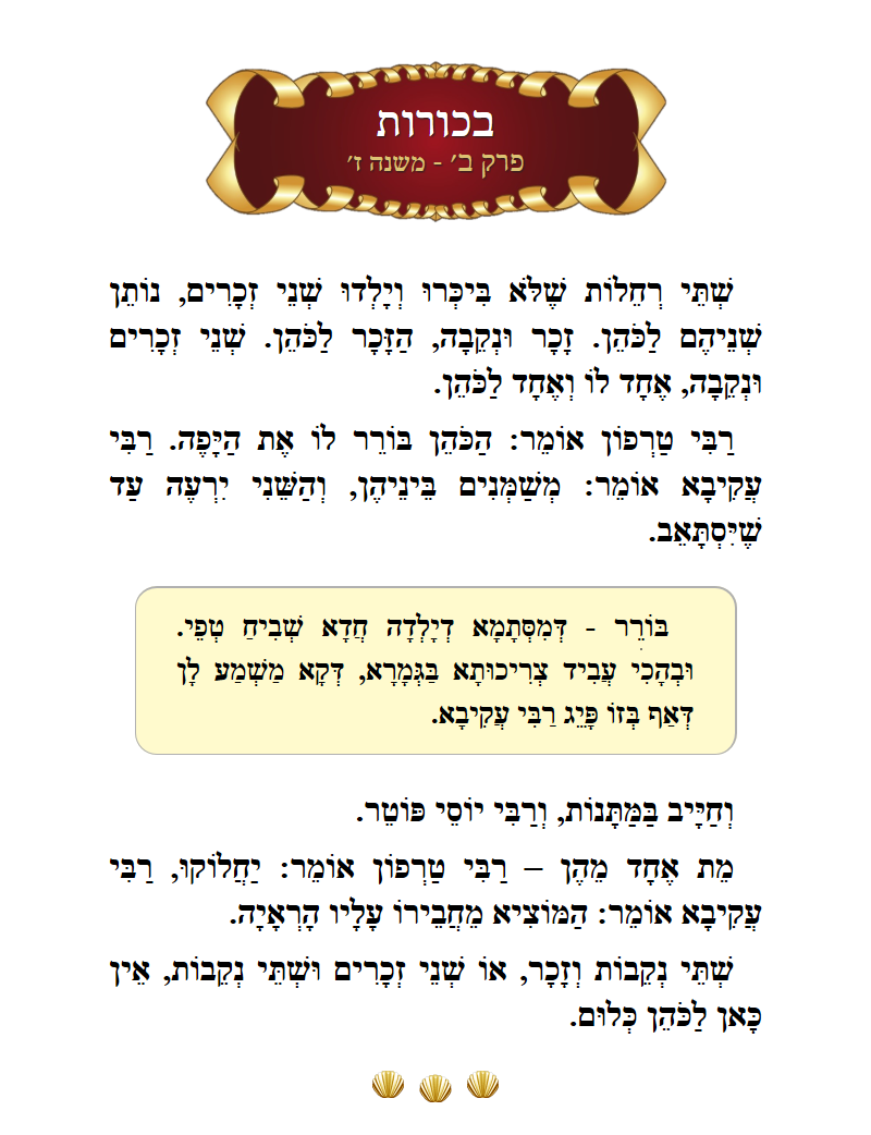 Masechta Bechoros Chapter 2 Mishnah 7 with commentary