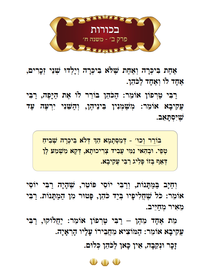 Masechta Bechoros Chapter 2 Mishnah 8 with commentary