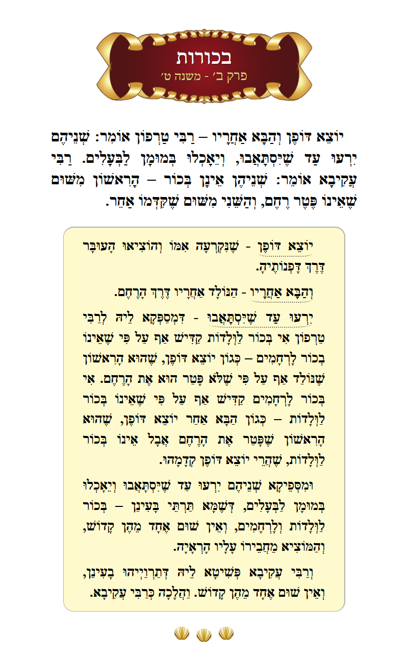 Masechta Bechoros Chapter 2 Mishnah 9 with commentary