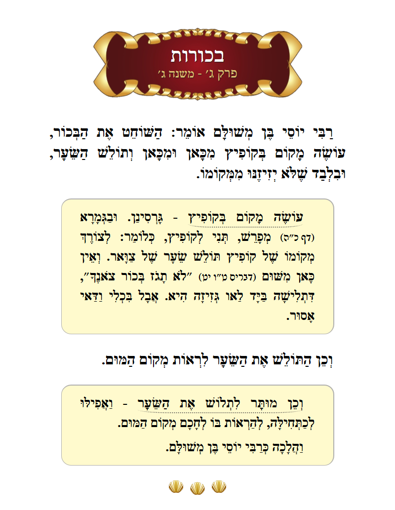 Masechta Bechoros Chapter 3 Mishnah 3 with commentary