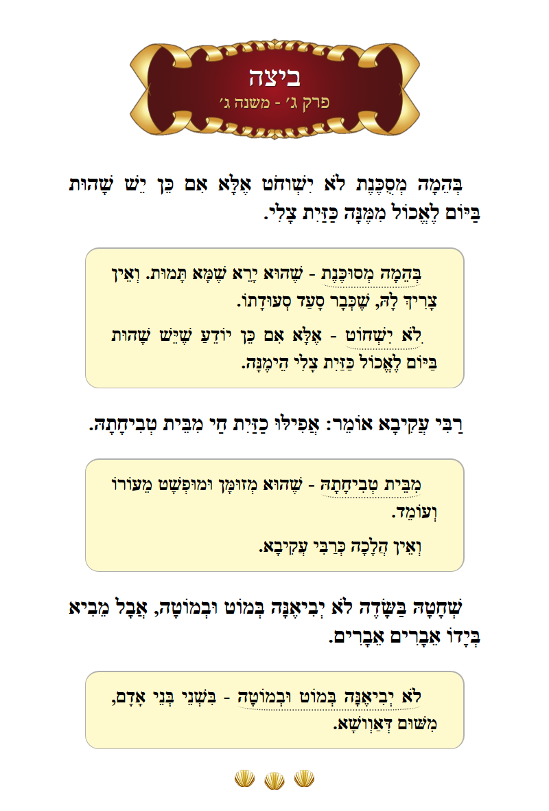Masechta Beitzah Chapter 3 Mishnah 3 with commentary