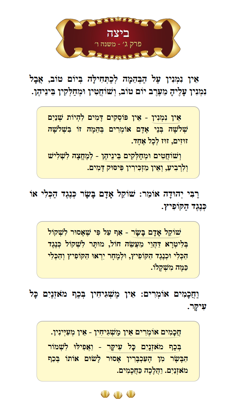 Masechta Beitzah Chapter 3 Mishnah 6 with commentary