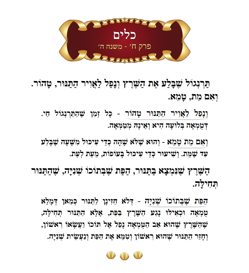 Masechta Keilim Chapter 8 Mishnah 5 with commentary