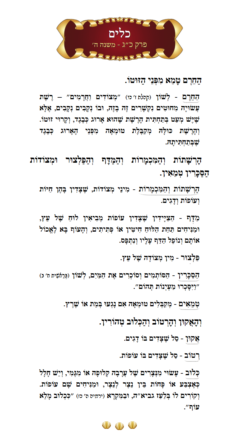Masechta Keilim Chapter 23 Mishnah 5 with commentary