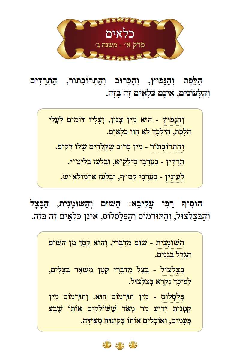 Masechta Kilayim Chapter 1 Mishnah 3 with commentary