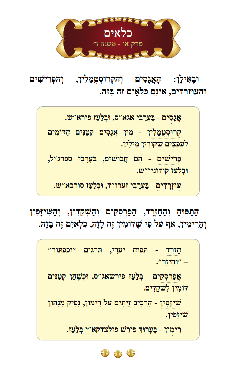 Masechta Kilayim Chapter 1 Mishnah 4 with commentary