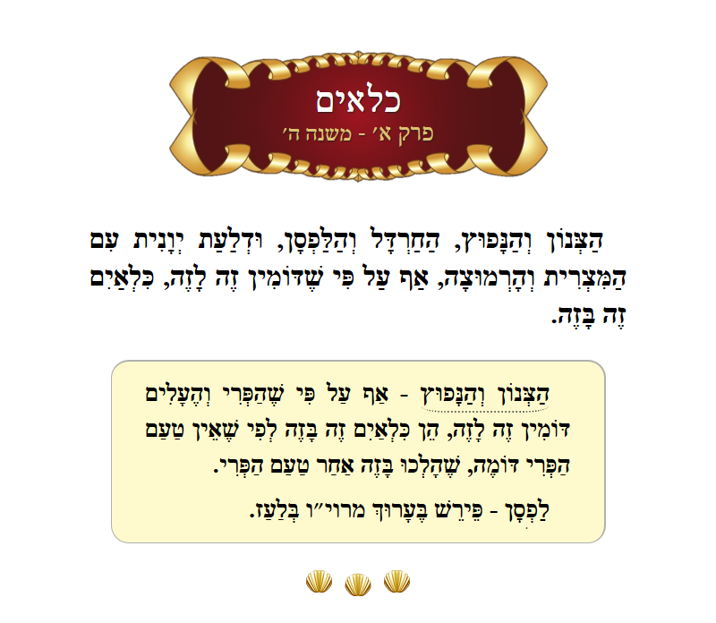 Masechta Kilayim Chapter 1 Mishnah 5 with commentary