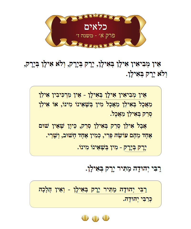 Masechta Kilayim Chapter 1 Mishnah 7 with commentary