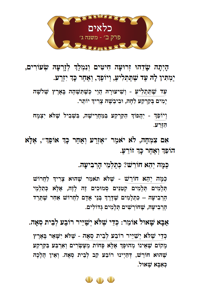 Masechta Kilayim Chapter 2 Mishnah 3 with commentary