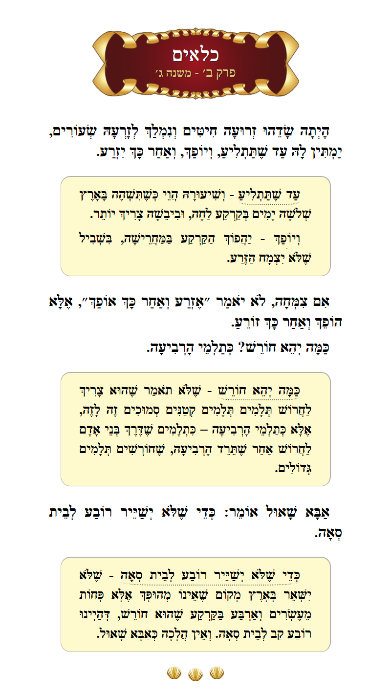 Masechta Kilayim Chapter 2 Mishnah 3 with commentary
