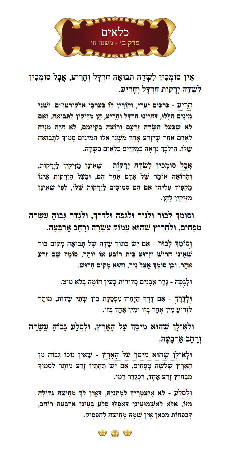 Masechta Kilayim Chapter 2 Mishnah 8 with commentary