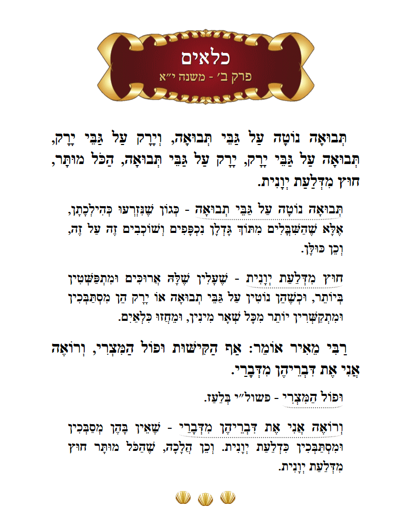 Masechta Kilayim Chapter 2 Mishnah 11 with commentary