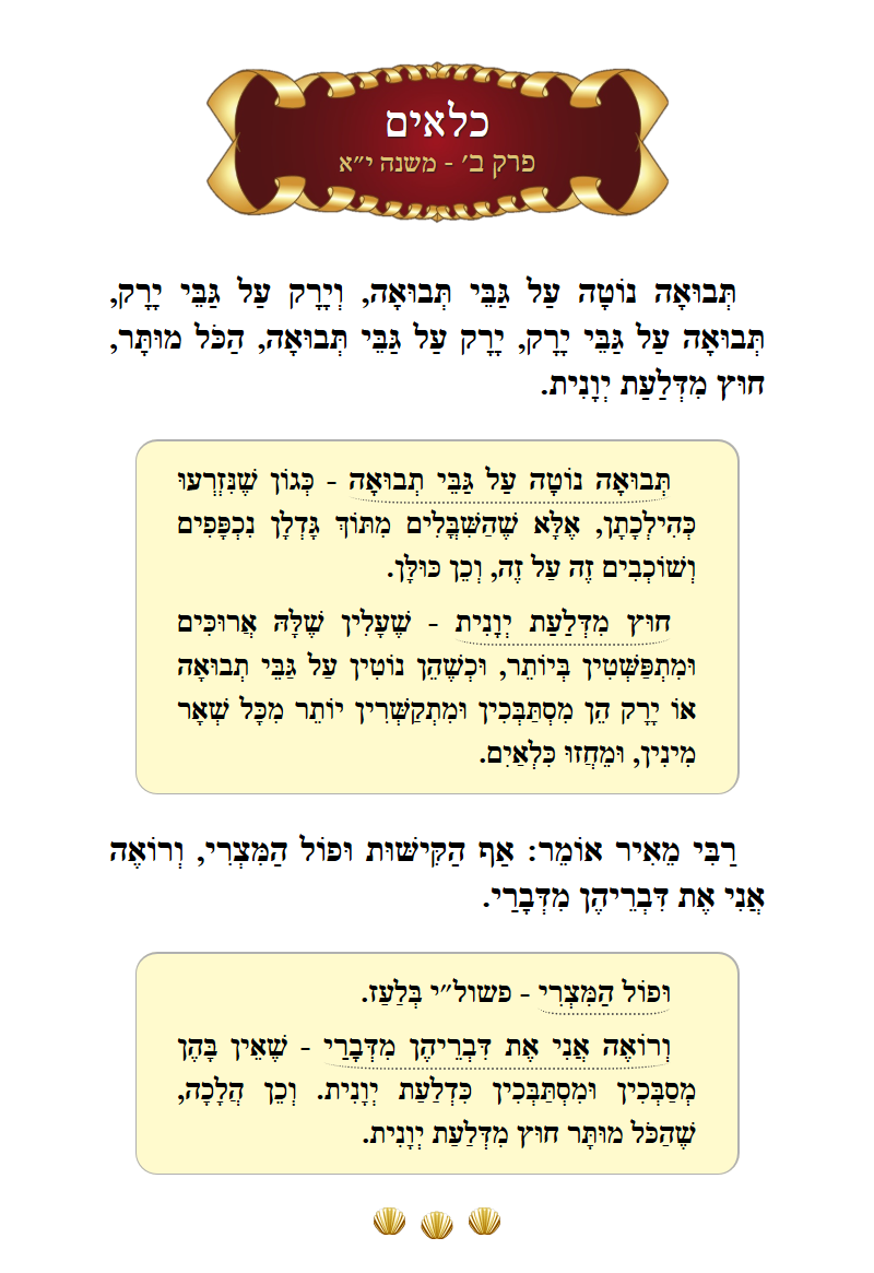 Masechta Kilayim Chapter 2 Mishnah 11 with commentary