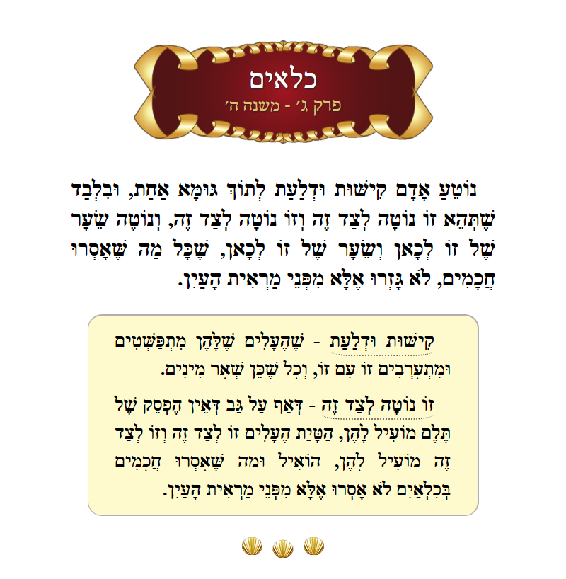 Masechta Kilayim Chapter 3 Mishnah 5 with commentary