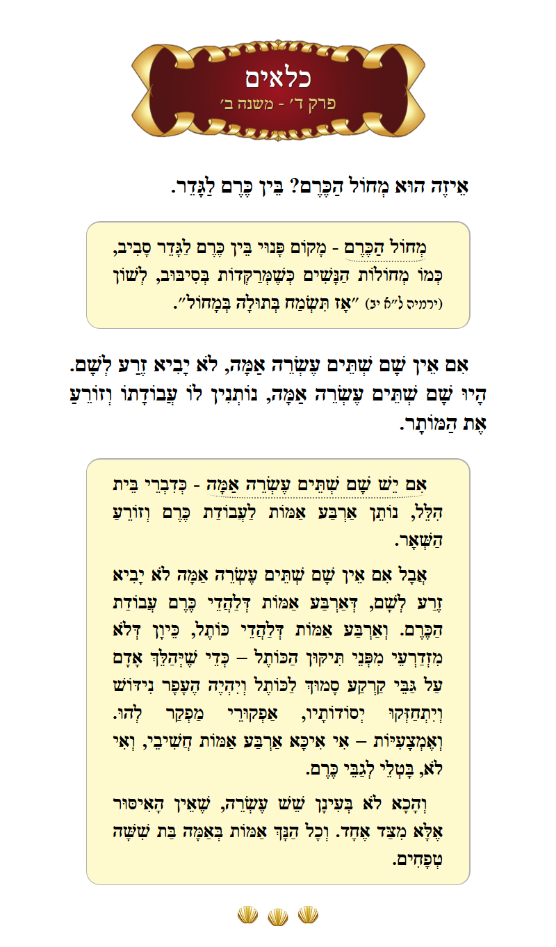 Masechta Kilayim Chapter 4 Mishnah 2 with commentary