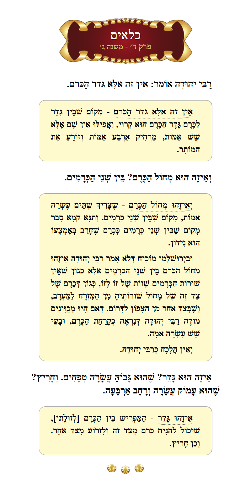 Masechta Kilayim Chapter 4 Mishnah 3 with commentary