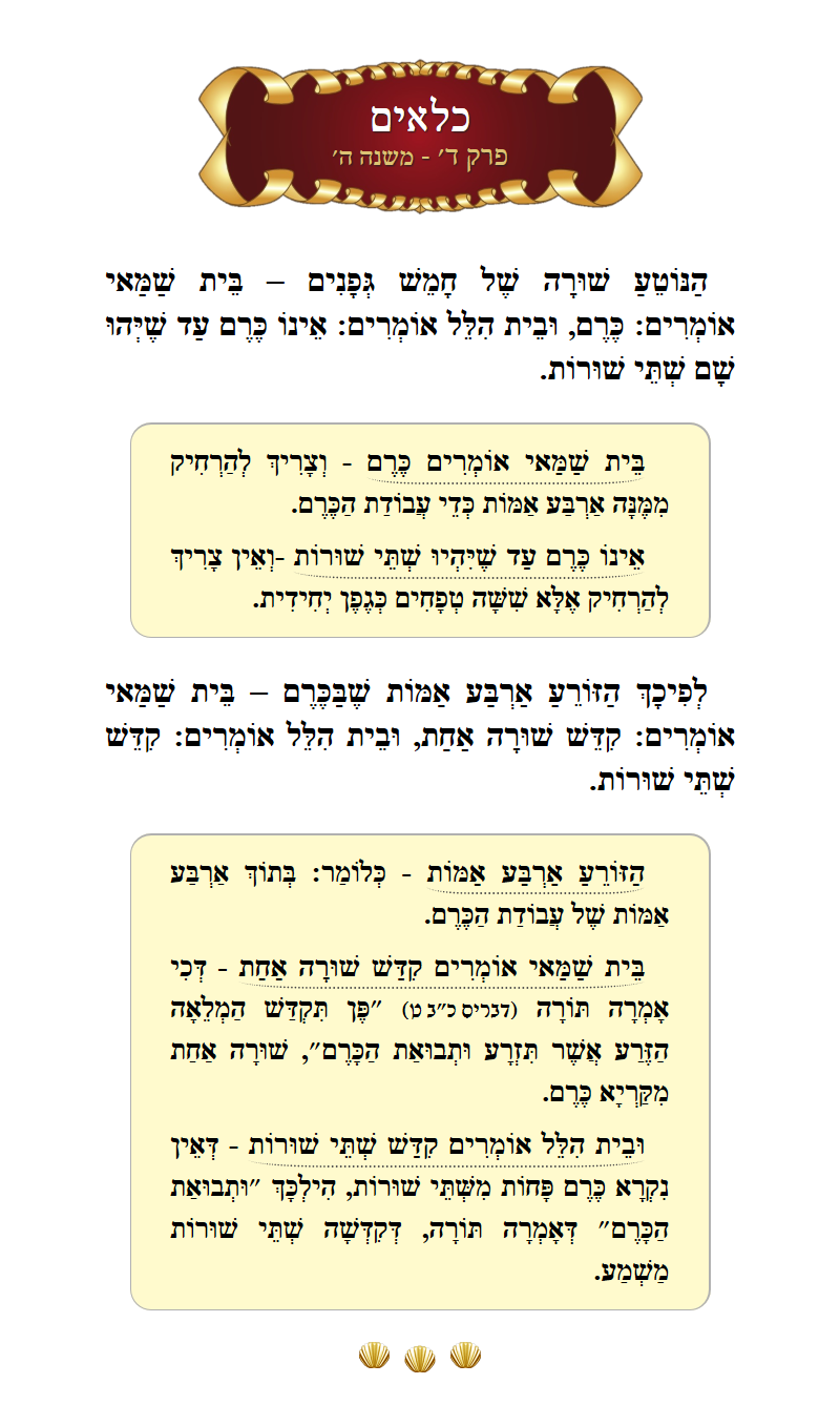 Masechta Kilayim Chapter 4 Mishnah 5 with commentary