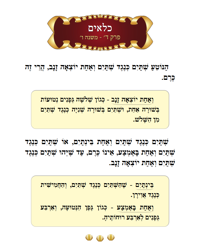 Masechta Kilayim Chapter 4 Mishnah 6 with commentary
