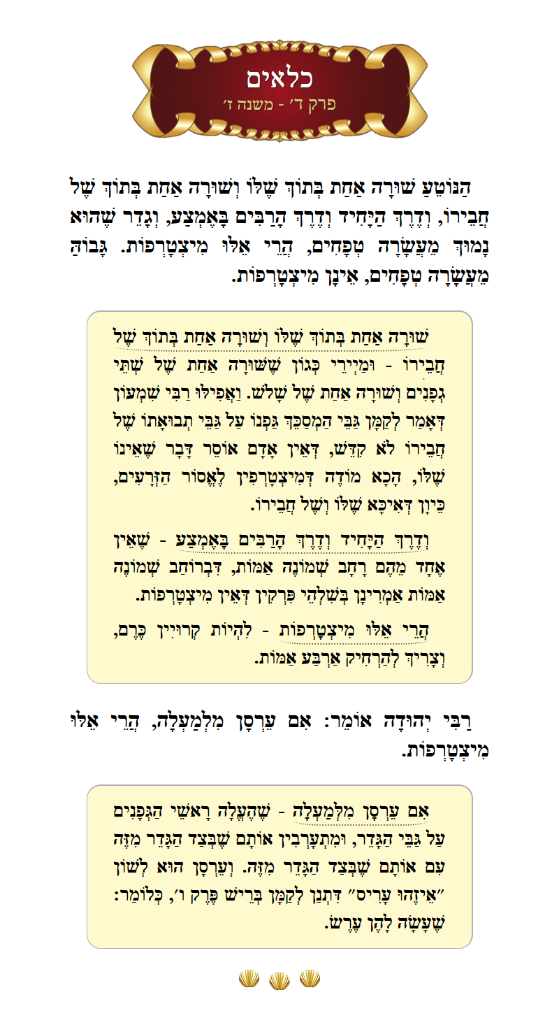 Masechta Kilayim Chapter 4 Mishnah 7 with commentary
