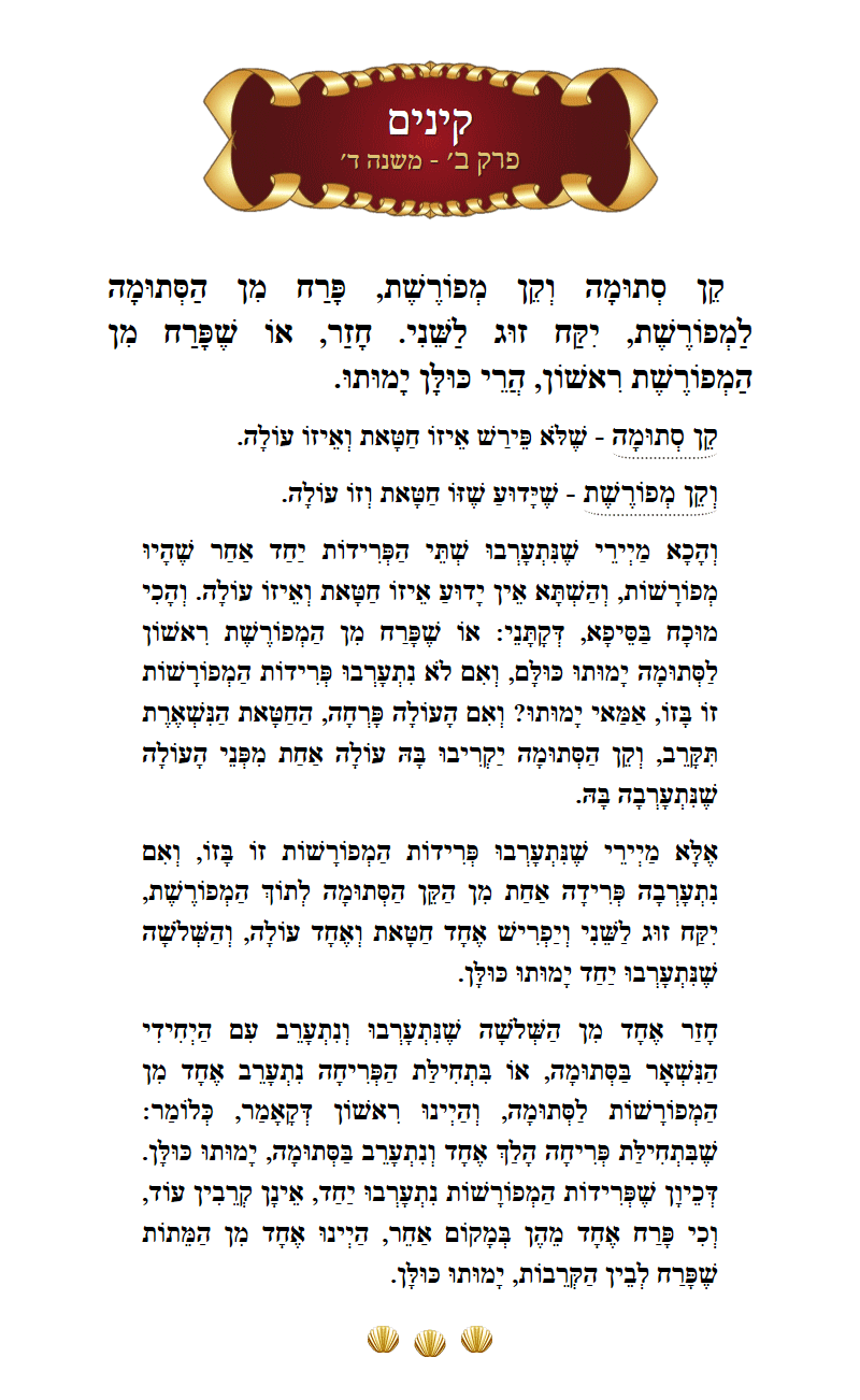Masechta Kinim Chapter 2 Mishnah 4 with commentary