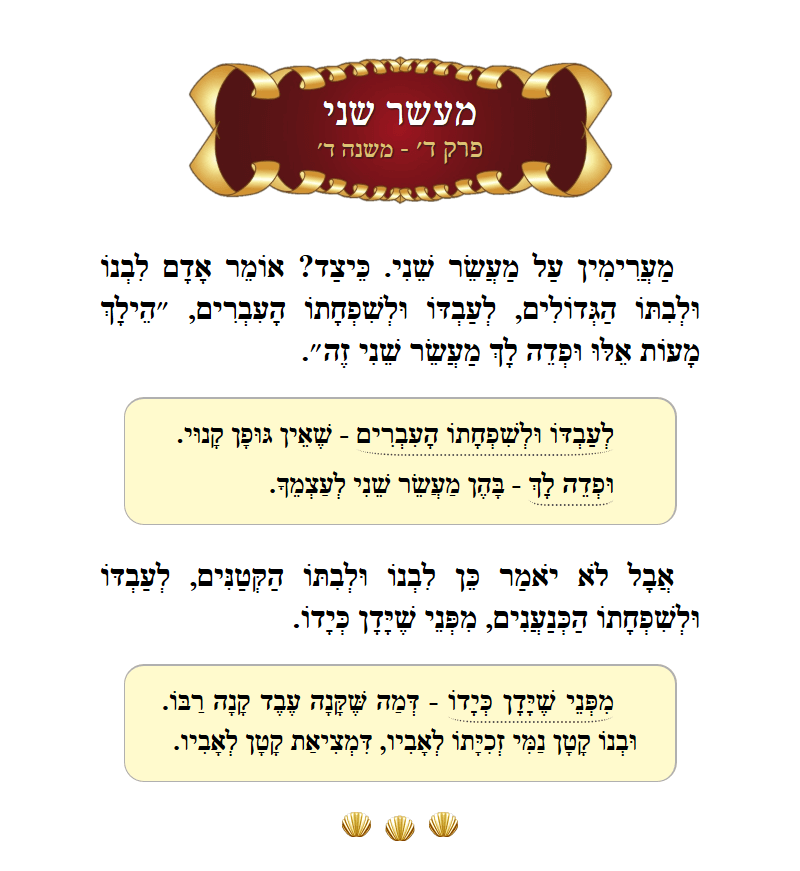 Masechta Maaser Sheni Chapter 4 Mishnah 4 with commentary