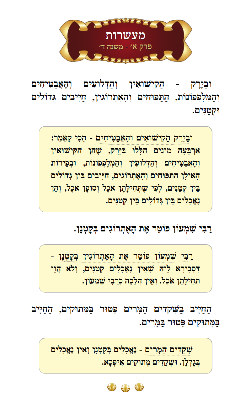 Masechta Maaseros Chapter 1 Mishnah 4 with commentary