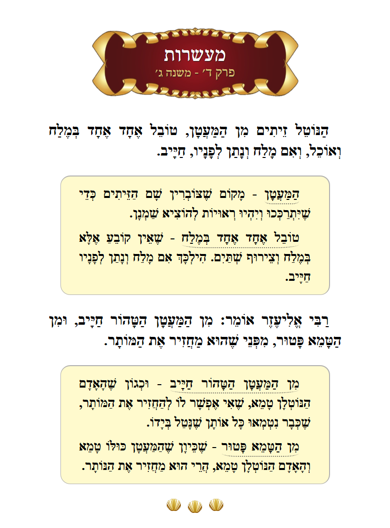 Masechta Maaseros Chapter 4 Mishnah 3 with commentary