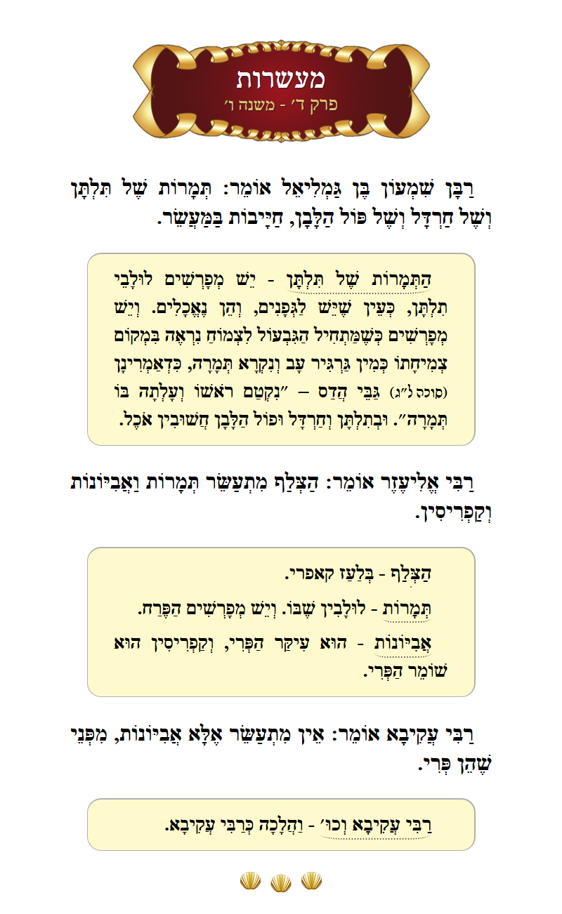 Masechta Maaseros Chapter 4 Mishnah 6 with commentary